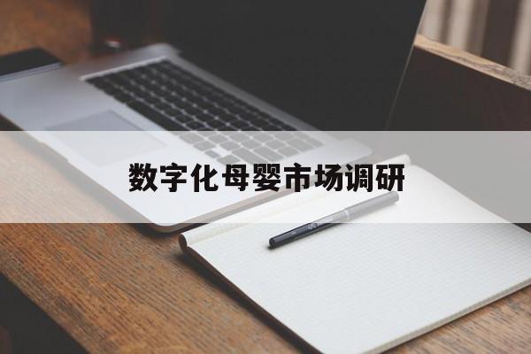 库尔勒市数字化母婴市场调研(数字化母婴市场调研报告)